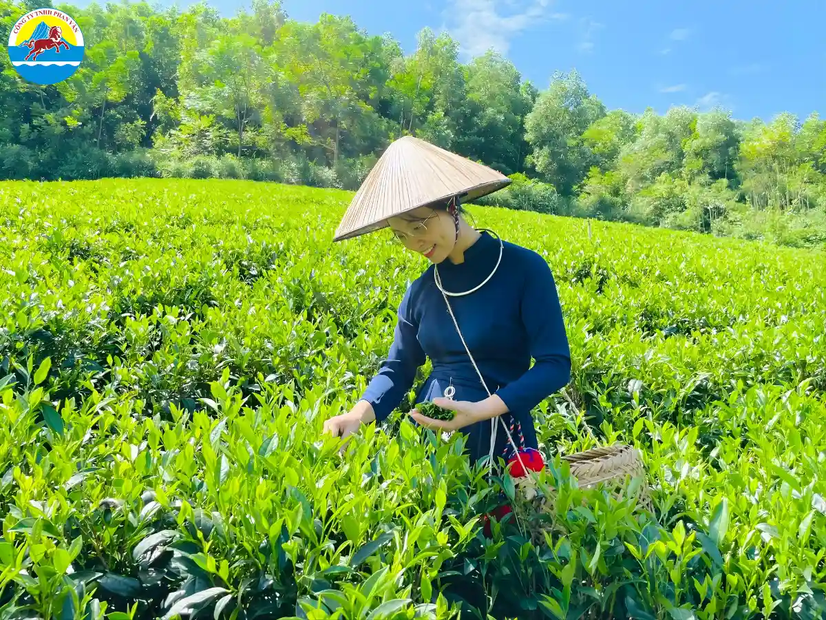 du lịch Thái Nguyên 2 ngày 1 đêm