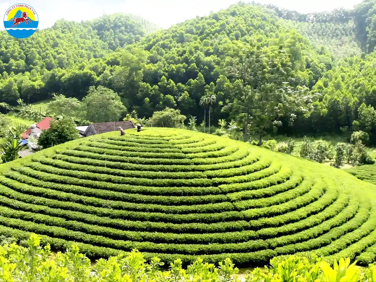 du lịch Thái Nguyên 2 ngày 1 đêm