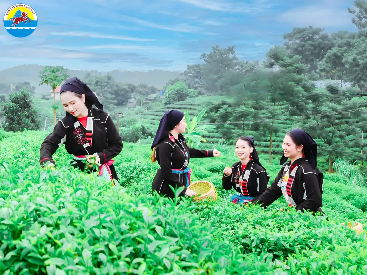 du lịch Thái Nguyên