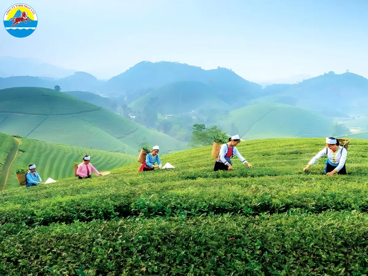 du lịch Thái Nguyên