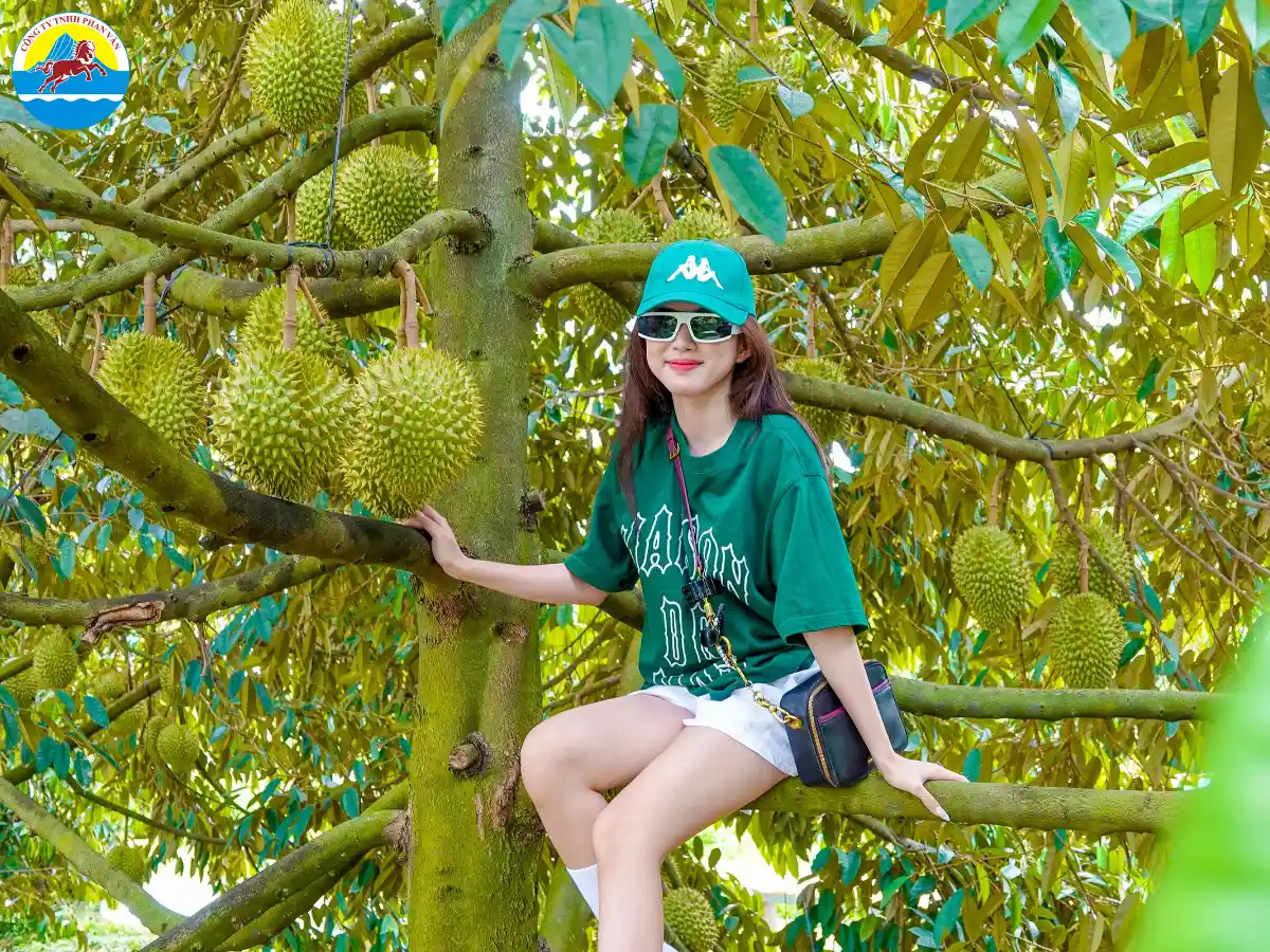 tháng 6 nên đi du lịch ở đâu miền Nam​