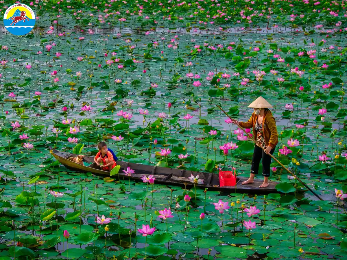 Đồng Tháp