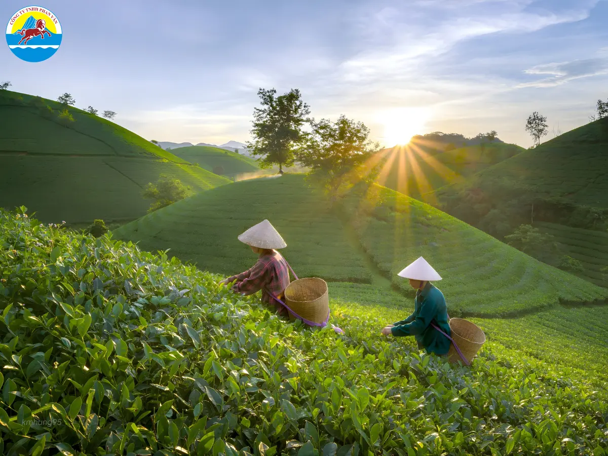 du lịch Thanh Ba Phú Thọ​