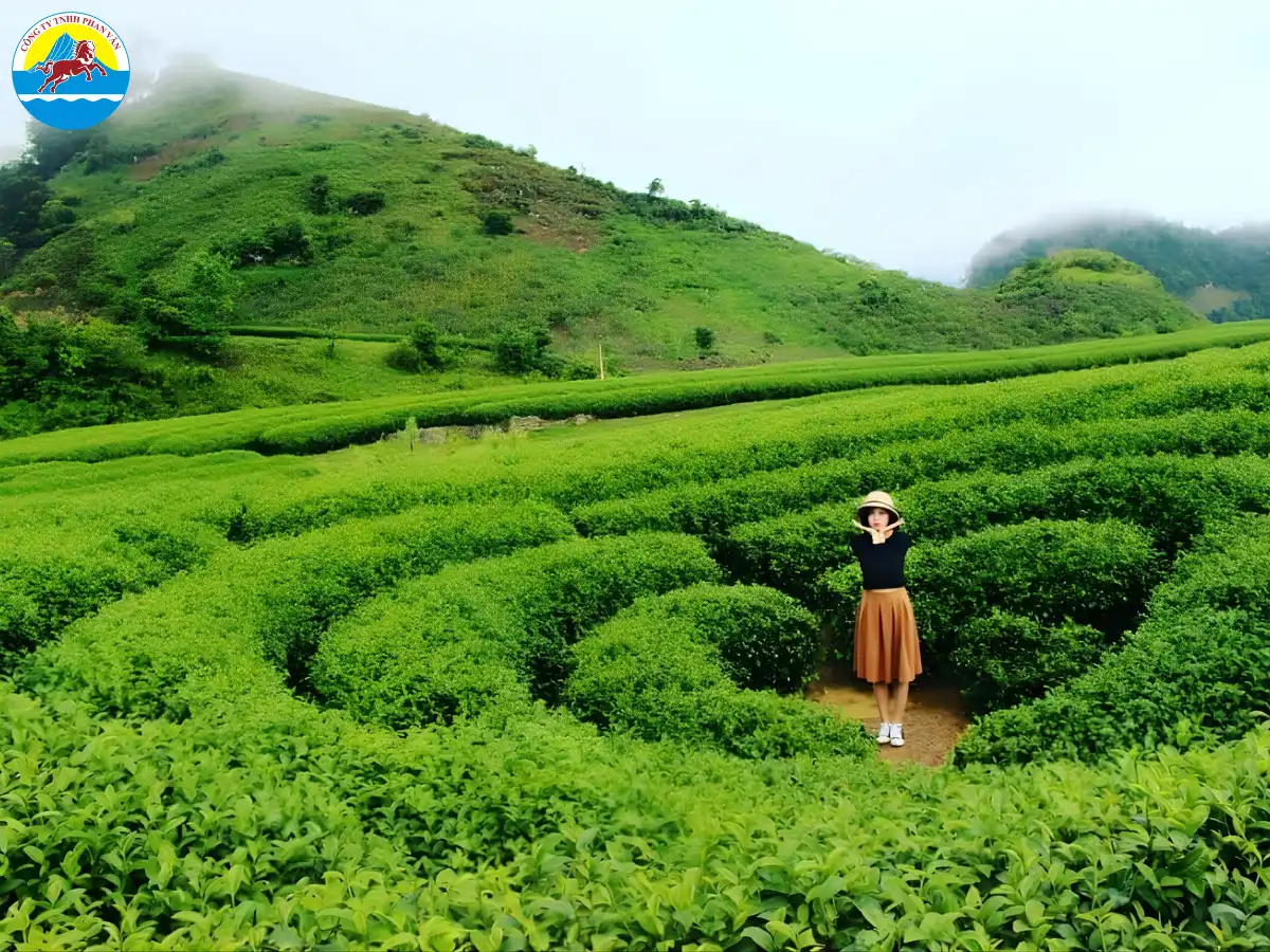 du lịch Thanh Sơn Phú Thọ​