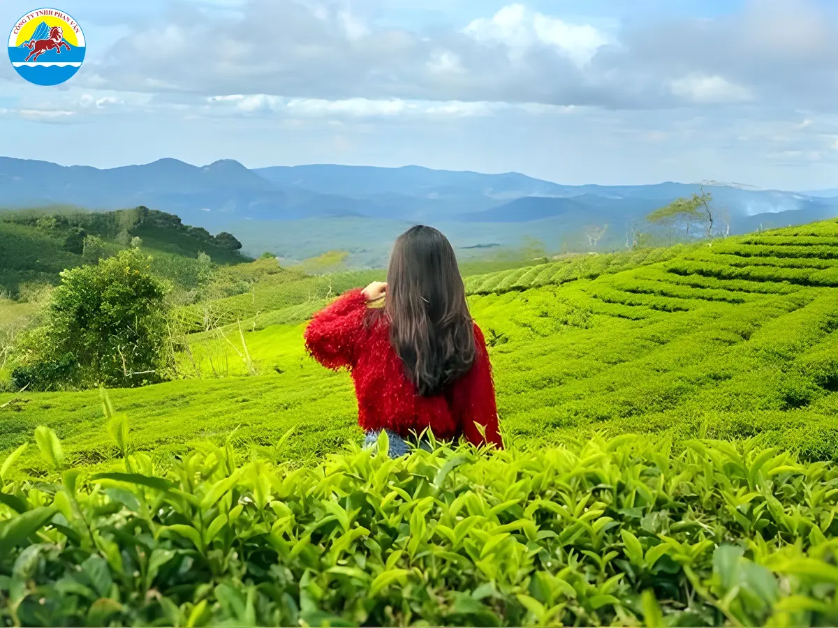 du lịch Thanh Sơn Phú Thọ​