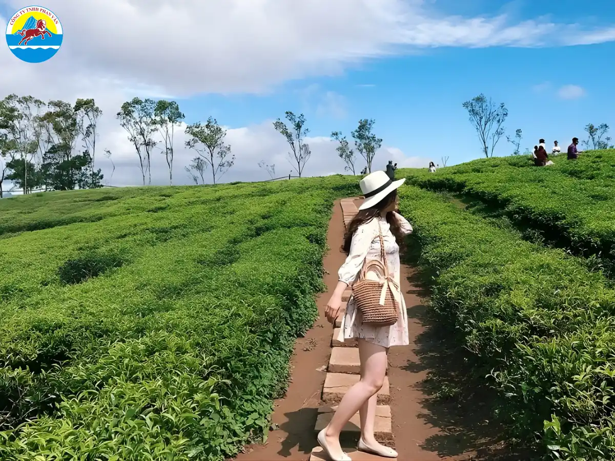 Bản Cỏi