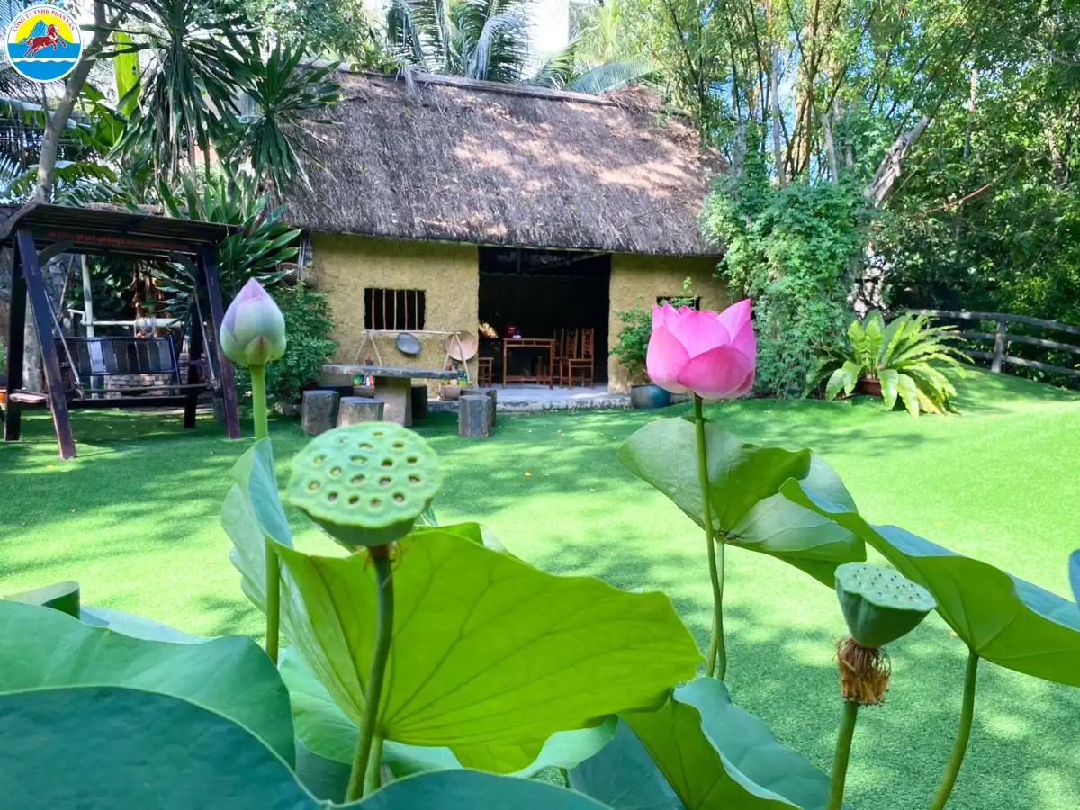 du lịch thuận an bình dương