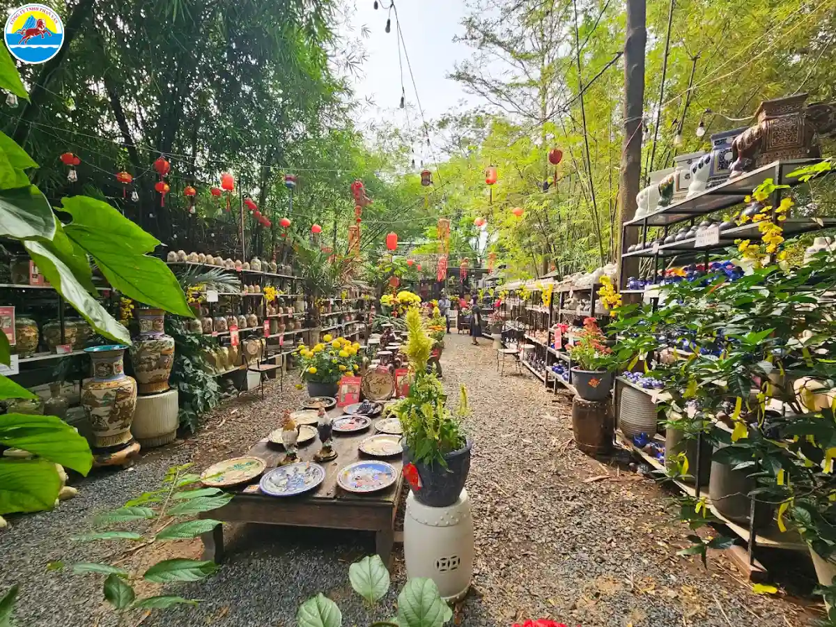 du lịch thuận an bình dương​