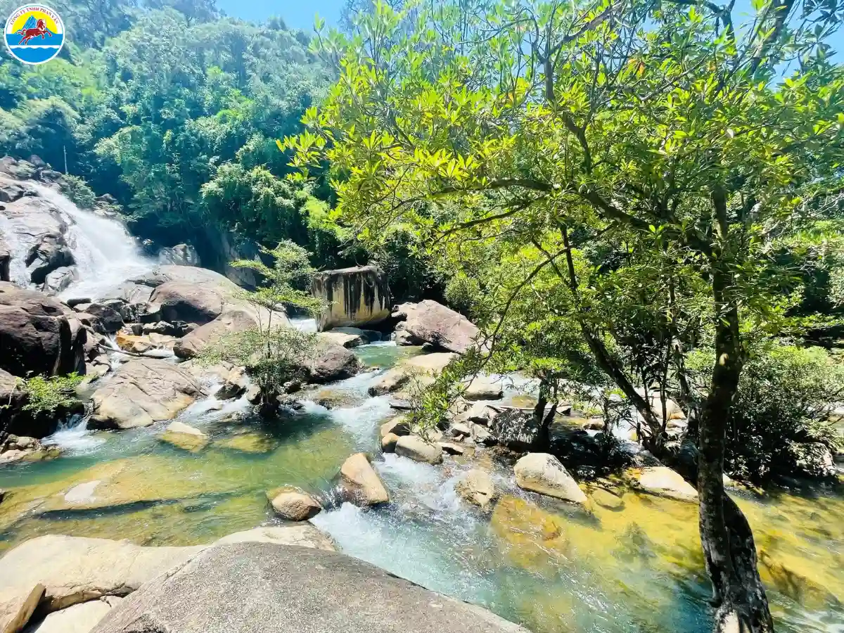 du lịch thuận an bình dương​