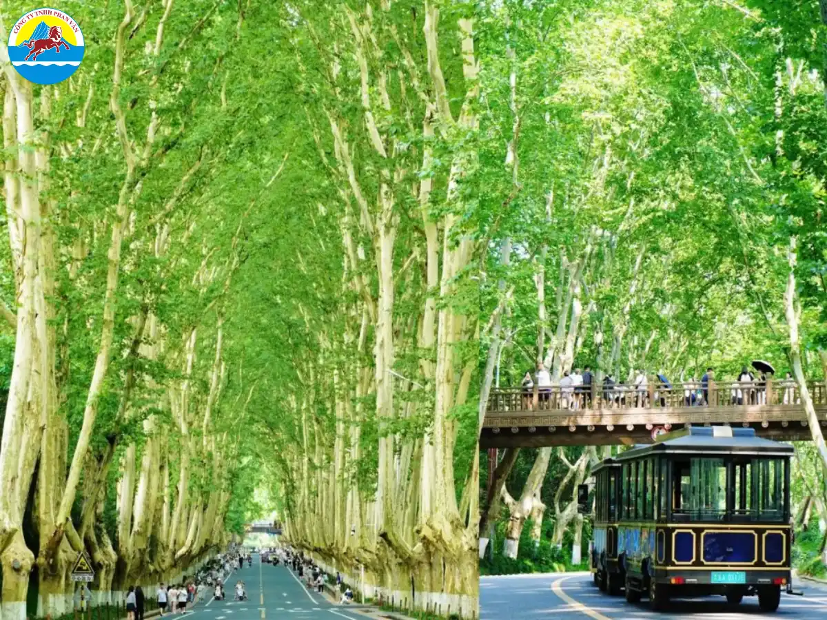 Đại lộ Nam Kinh Thượng Hải – phố đi bộ, trung tâm thương mại cao cấp