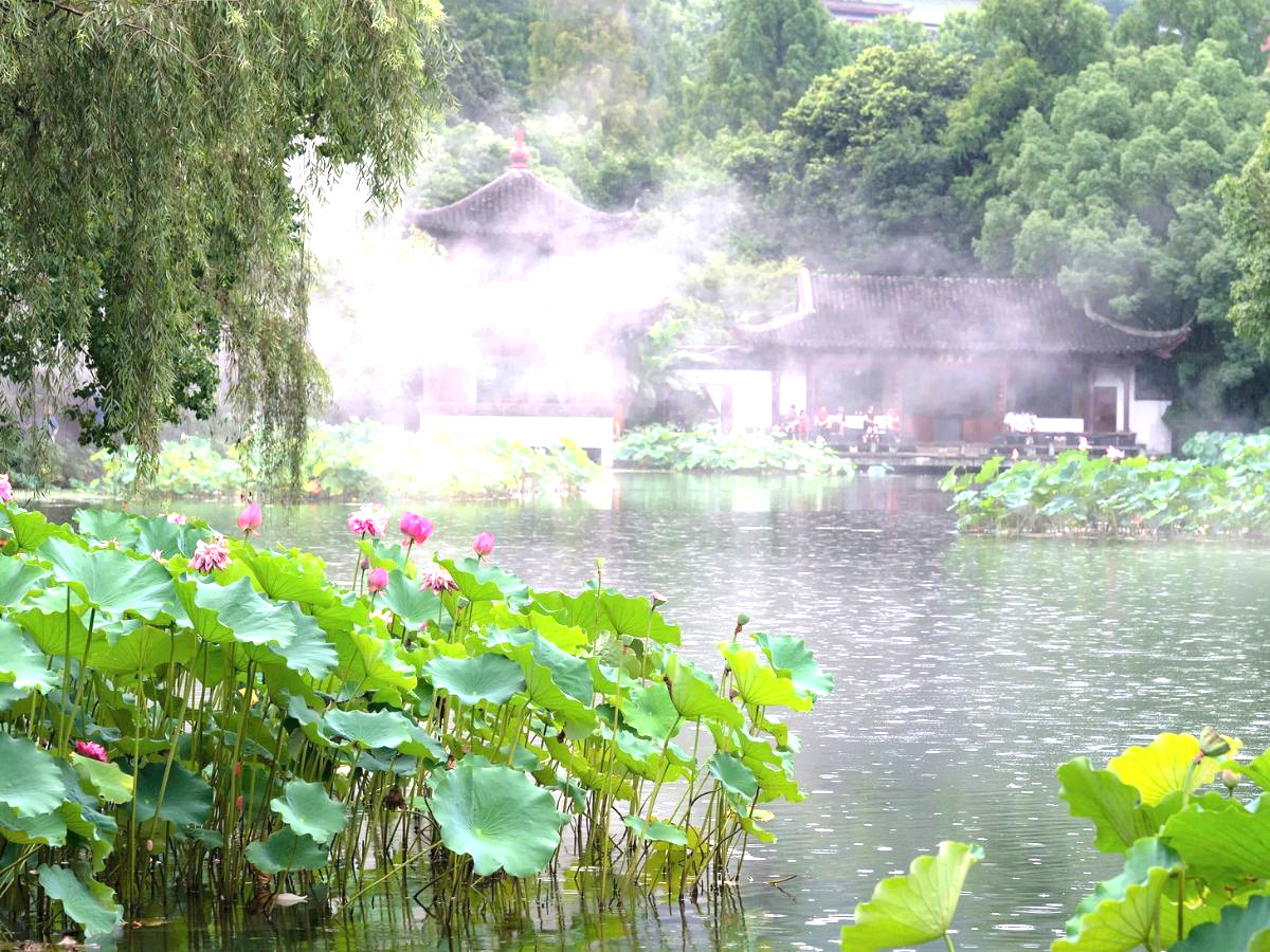 du-lich-thuong-hai-hang-chau-o-tran-6n5d-tu-da-nang-phan-van-travel-3