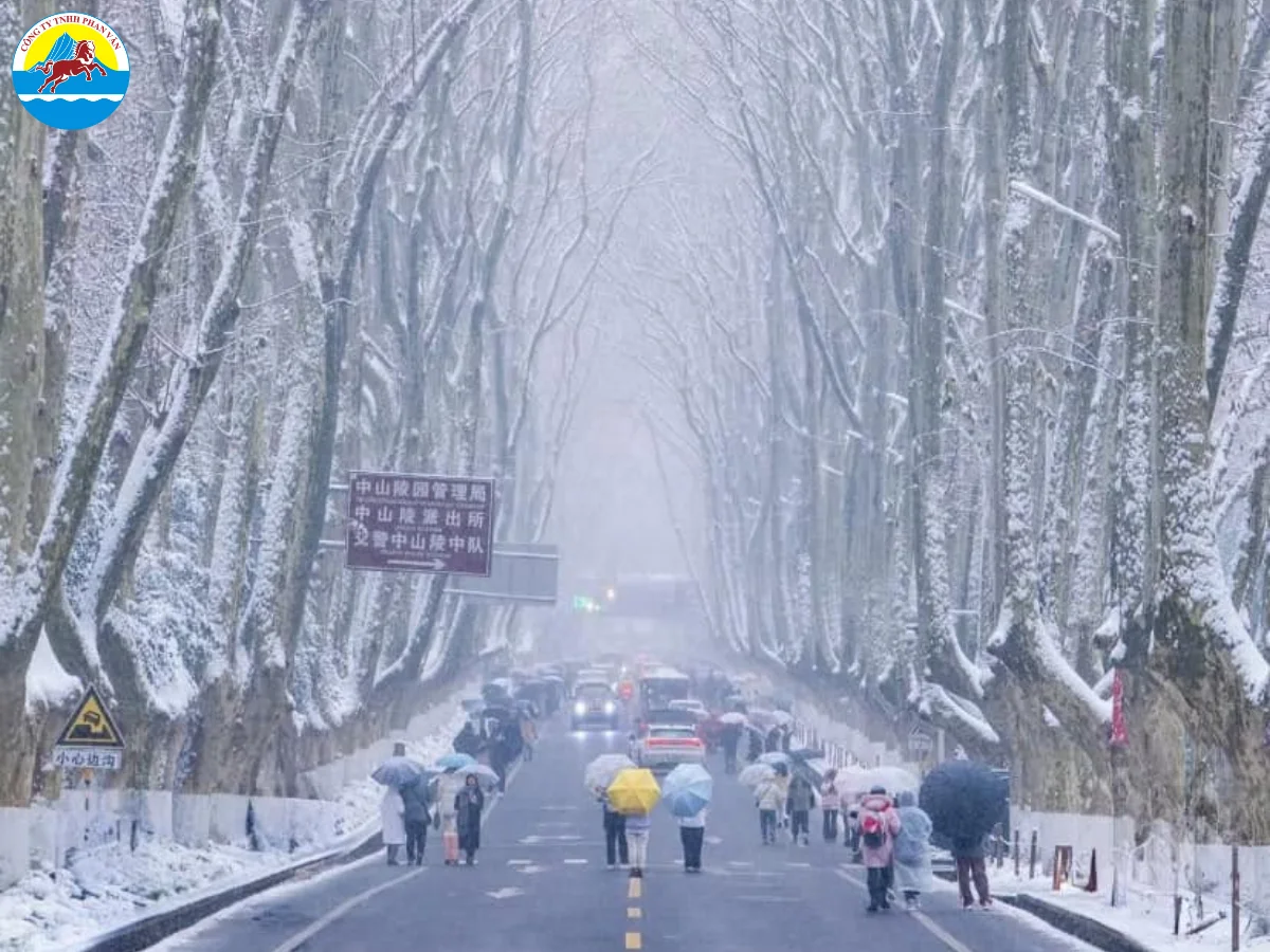 Phố Nam Kinh Thượng Hải