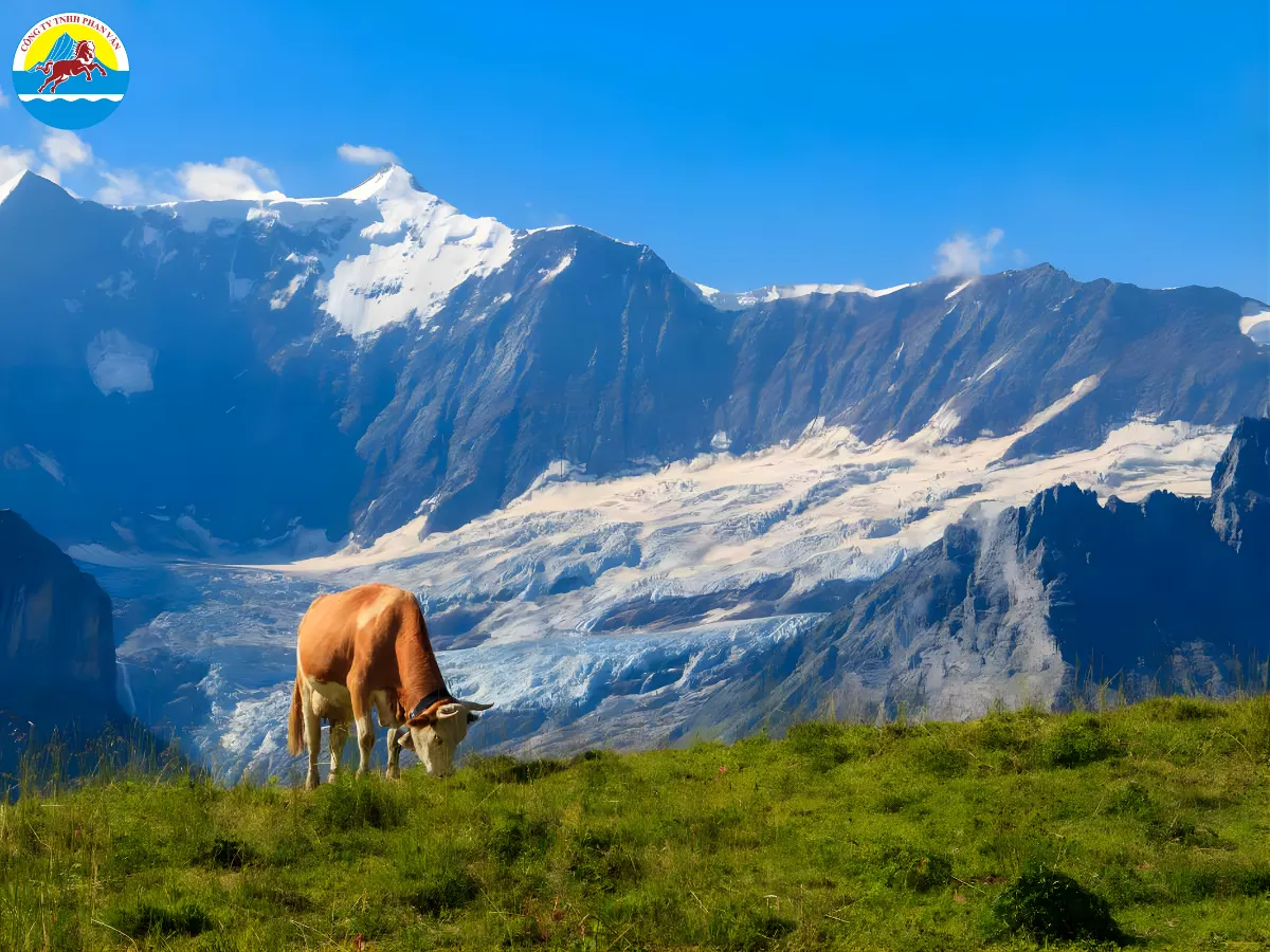 Đỉnh cao của mùa du lịch Thụy Sĩ rơi vào những tháng hè ấm áp