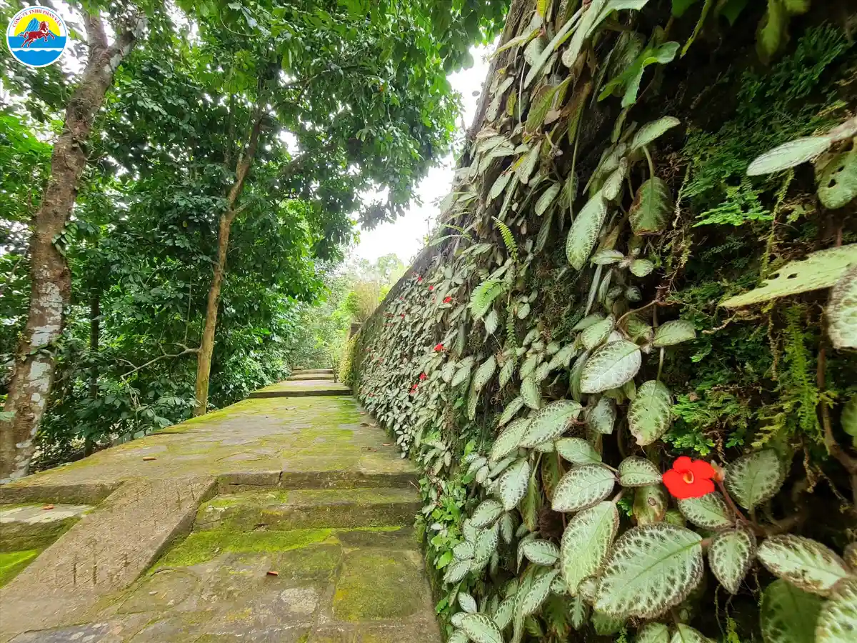 tiên phước có gì đẹp​