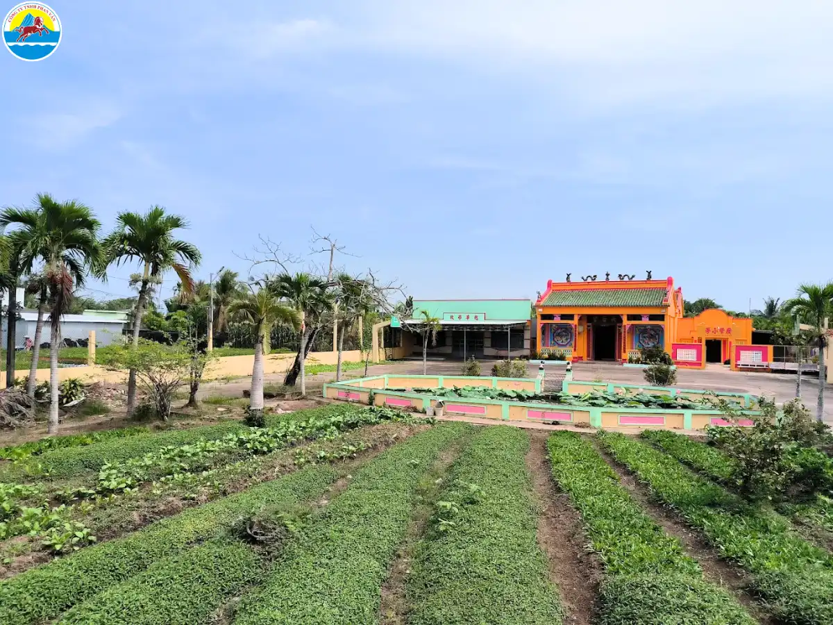 du lịch tiểu cần trà vinh