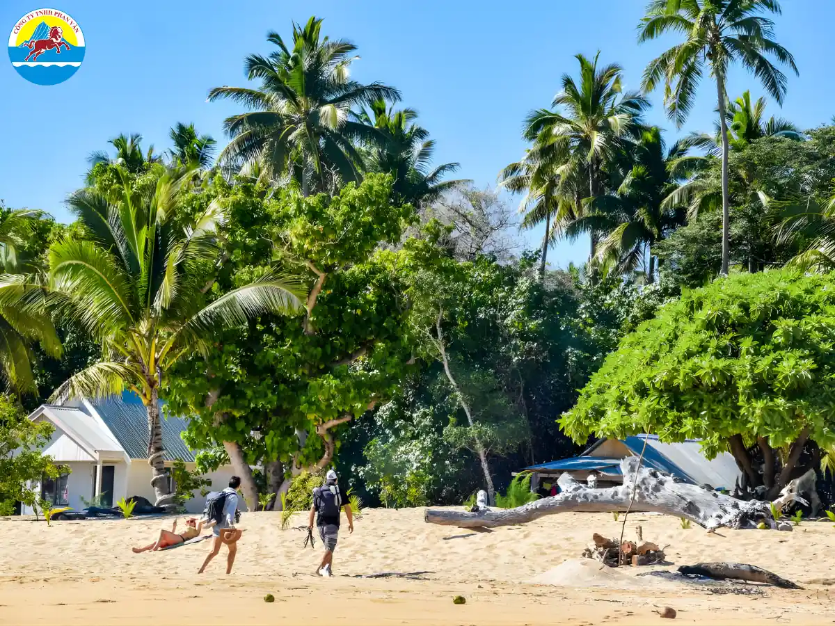Phan Văn Travel cung cấp các gói tour đa dạng để đáp ứng nhu cầu