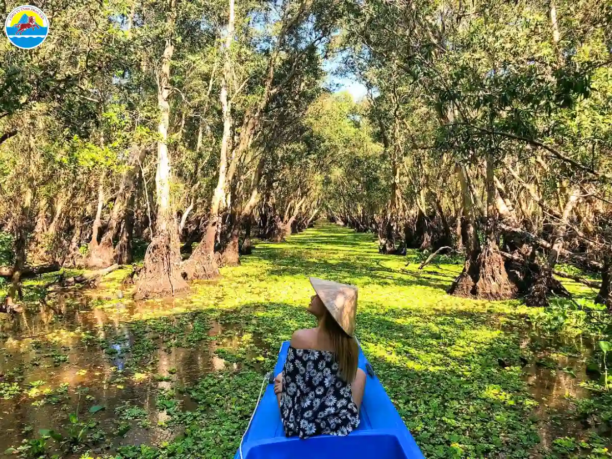 du lịch rừng tràm trà sư an giang​