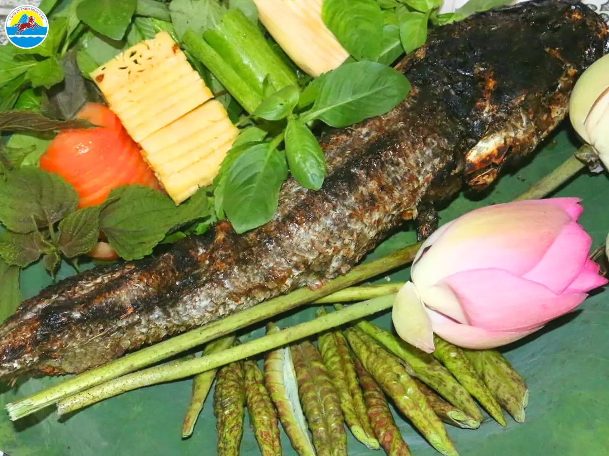 du lịch rừng tràm trà sư an giang​