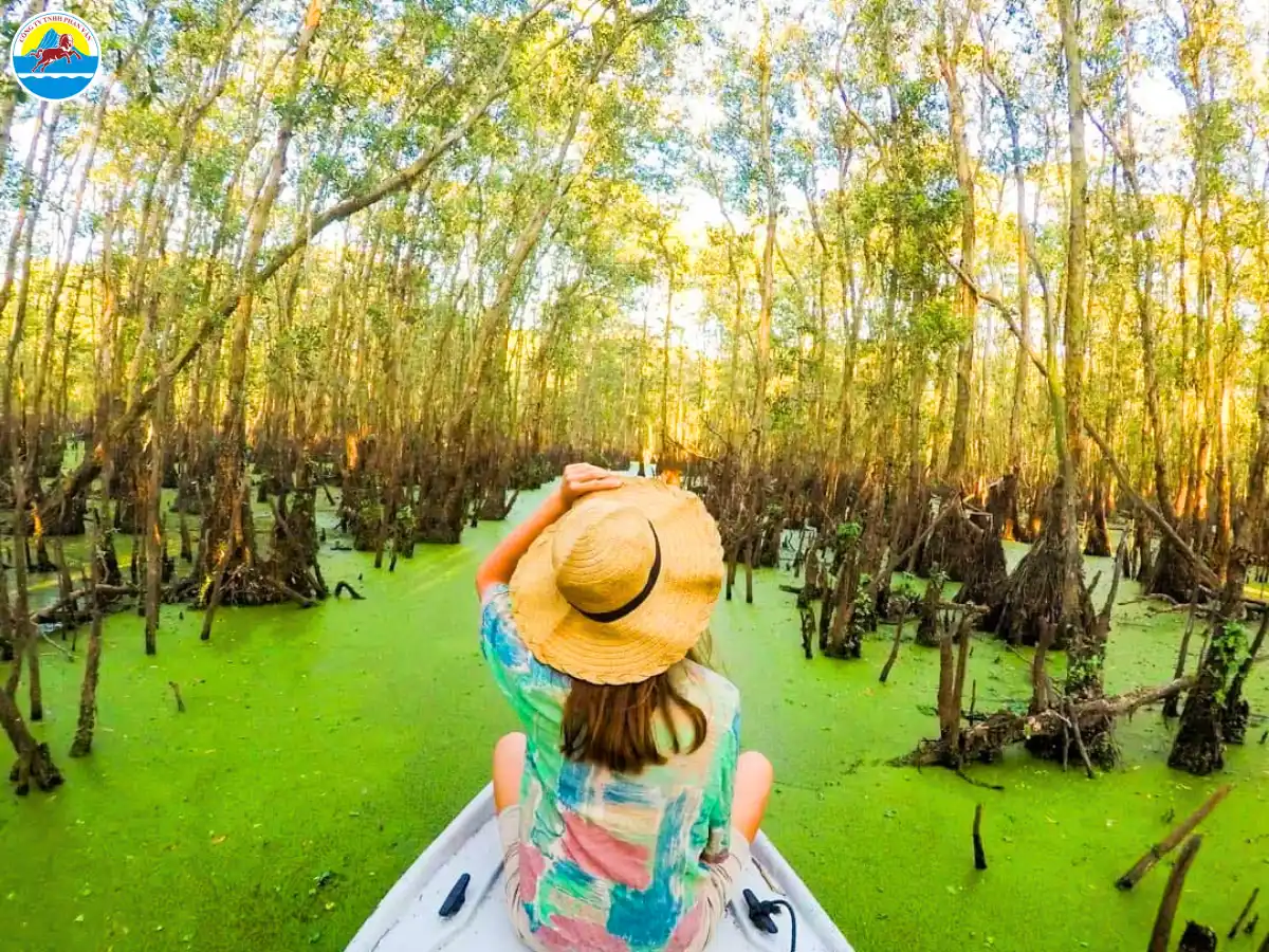 du lịch rừng tràm trà sư an giang​