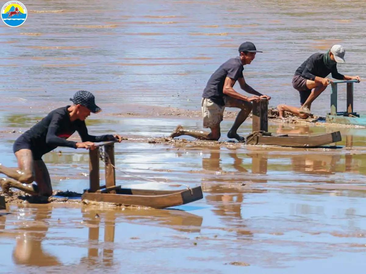 du lịch trần đề