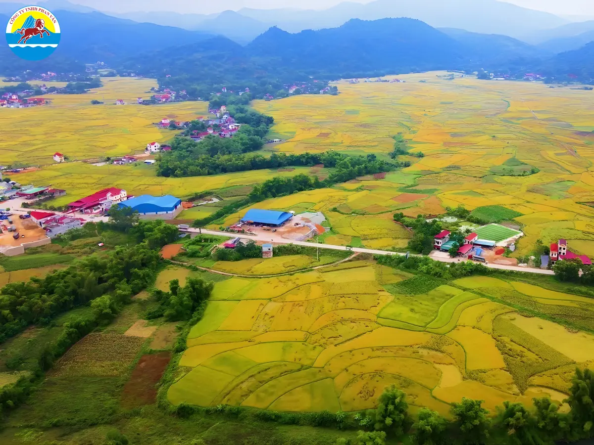 Cánh đồng Thất Khê