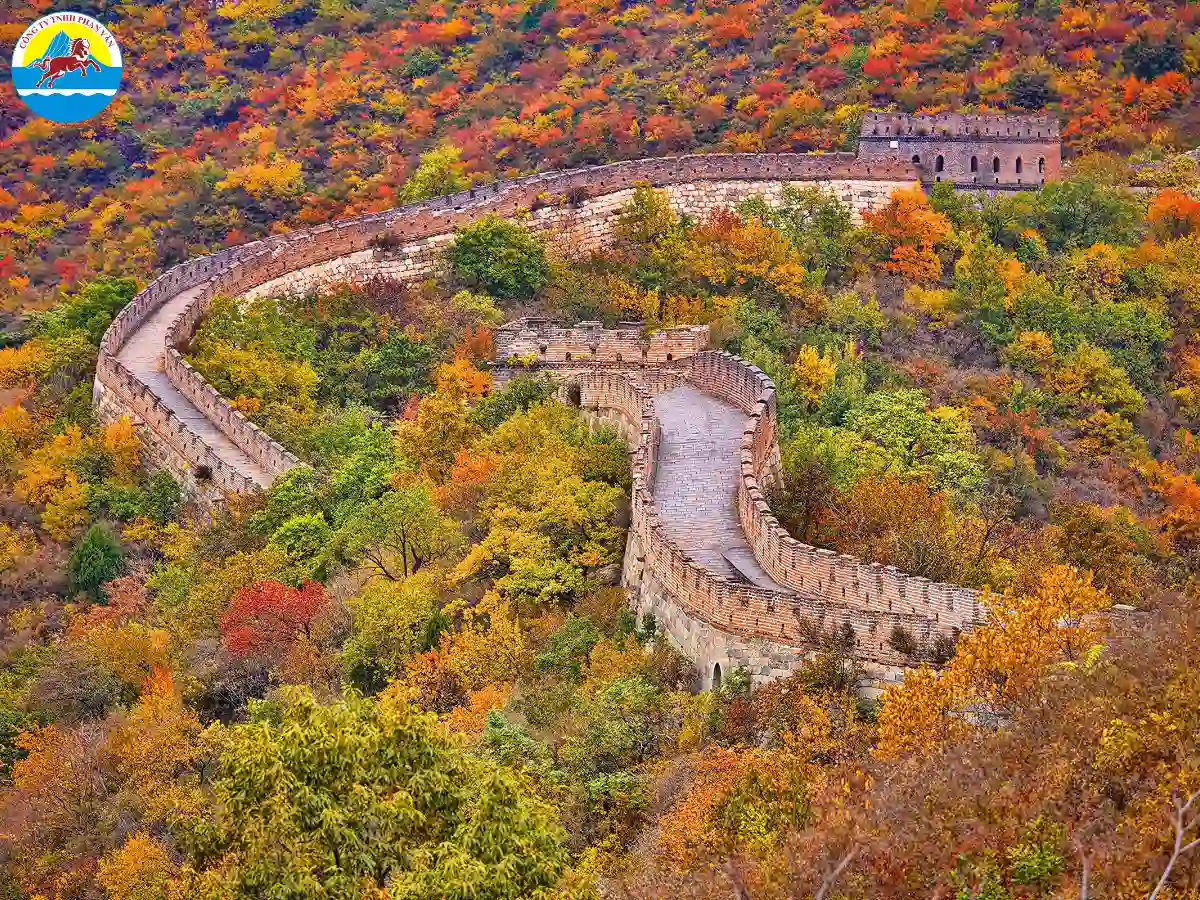 Vạn Lý Trường Thành giữa khung cảnh núi rừng thay lá vàng