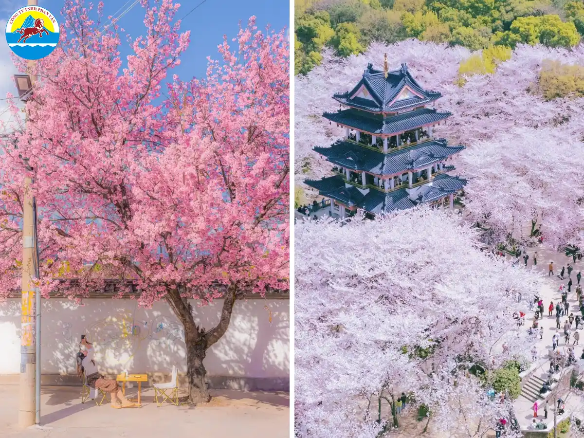 Vân Nam và Vô Tích