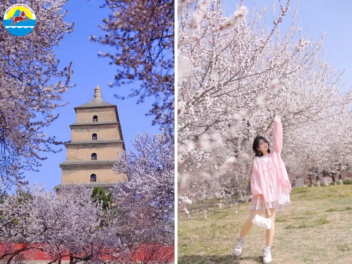 Tây An là cố đô của 13 triều đại Trung Quốc