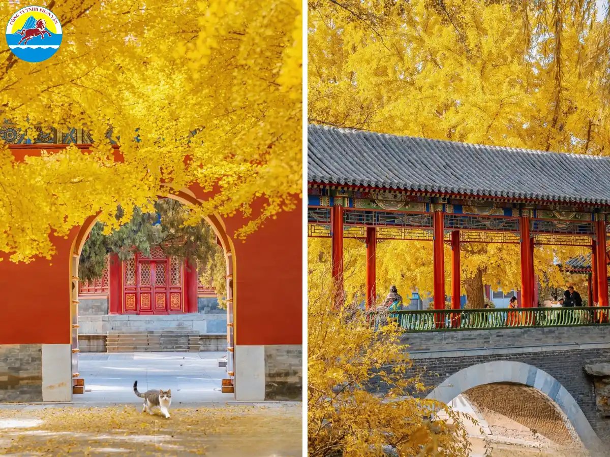 Công viên Cảnh Sơn