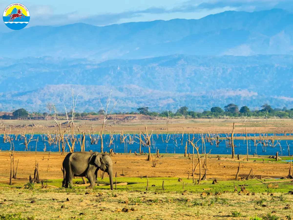 Vườn quốc gia của Sri Lanka