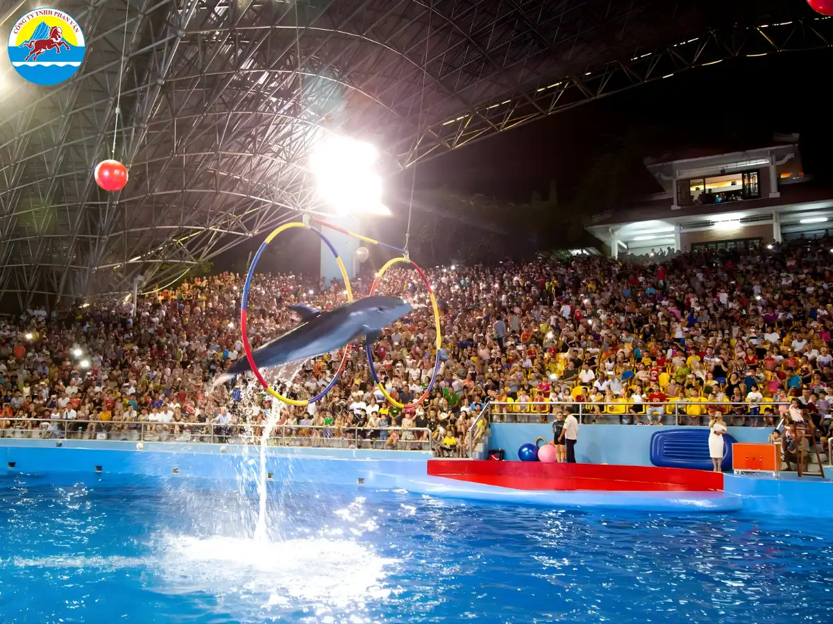 Cung trình diễn xiếc thú