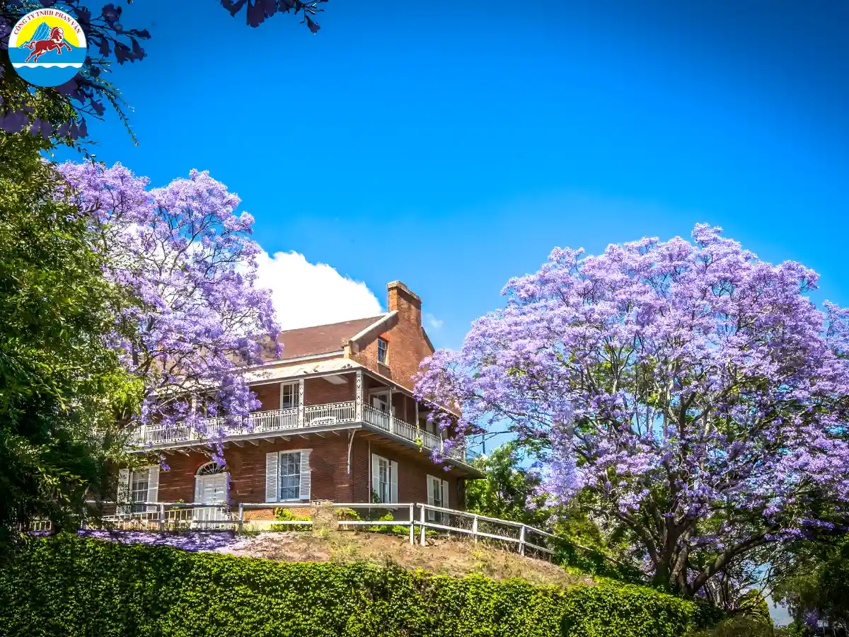 du lịch Úc tháng 11