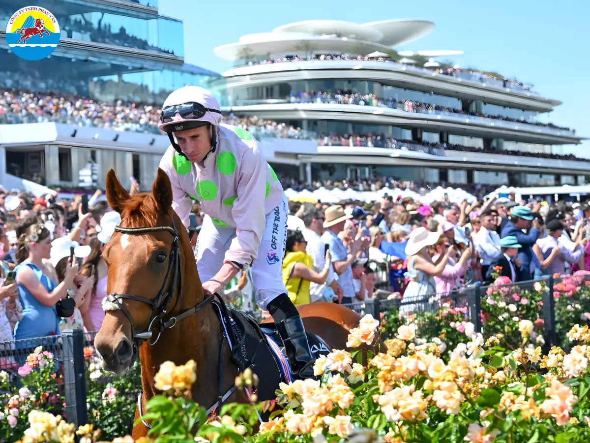 du lịch Úc tháng 11