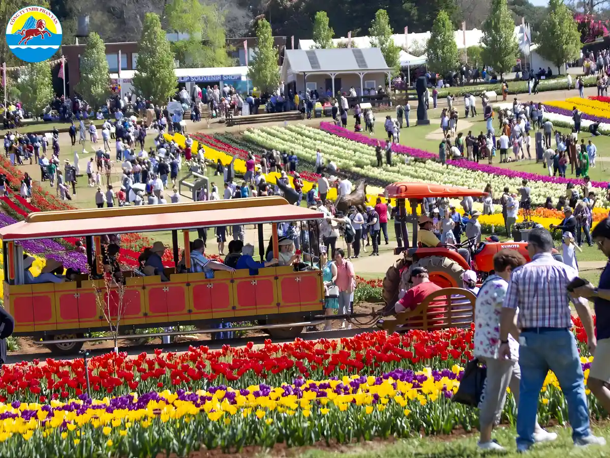 Lễ hội hoa Floriade và Tulip Tesselaar