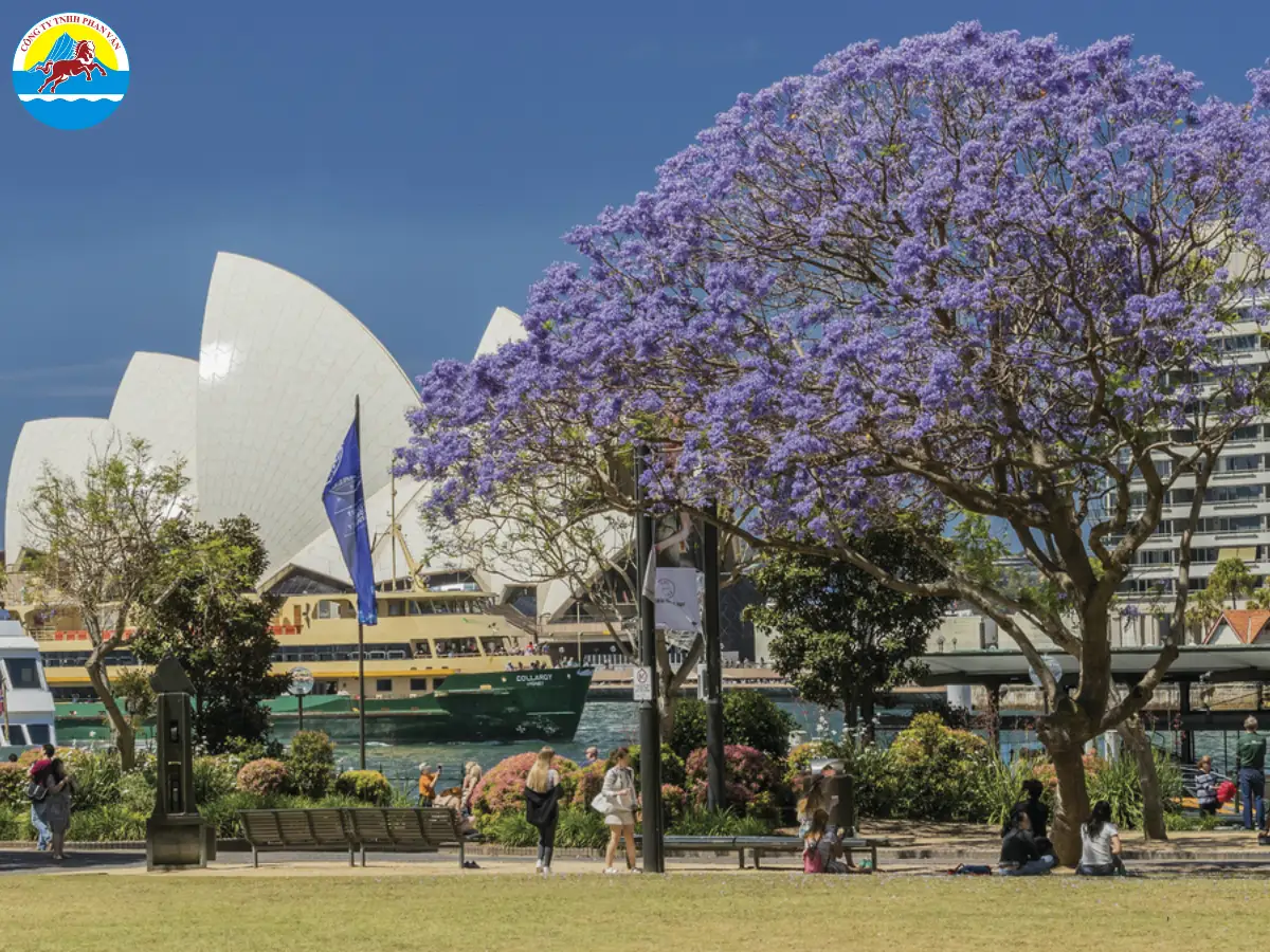 du lịch Úc tháng 11