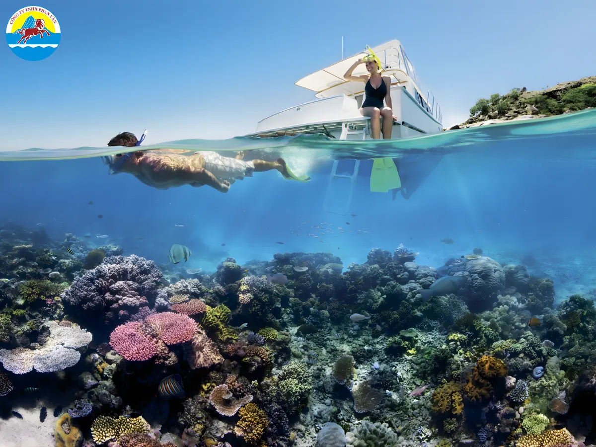 Lặn ngắm san hô tại Great Barrier Reef