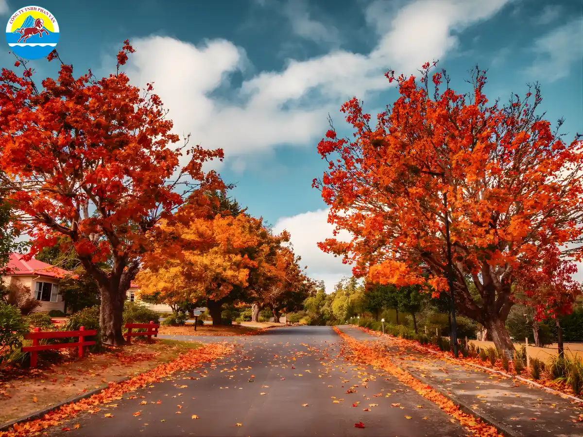 du lịch Úc tháng 3