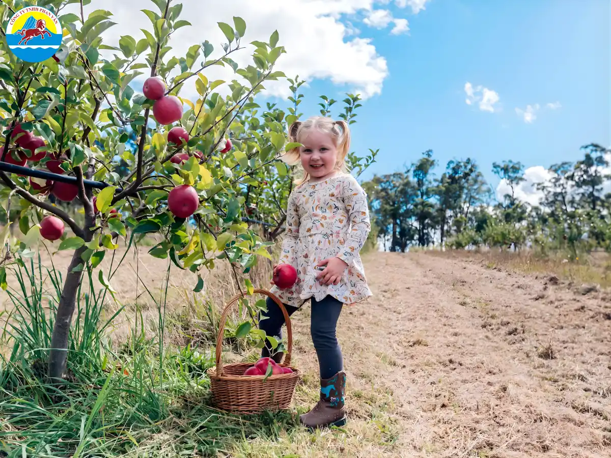 du lịch Úc tháng 5