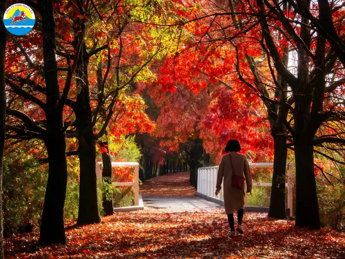 du lịch Úc tháng 5