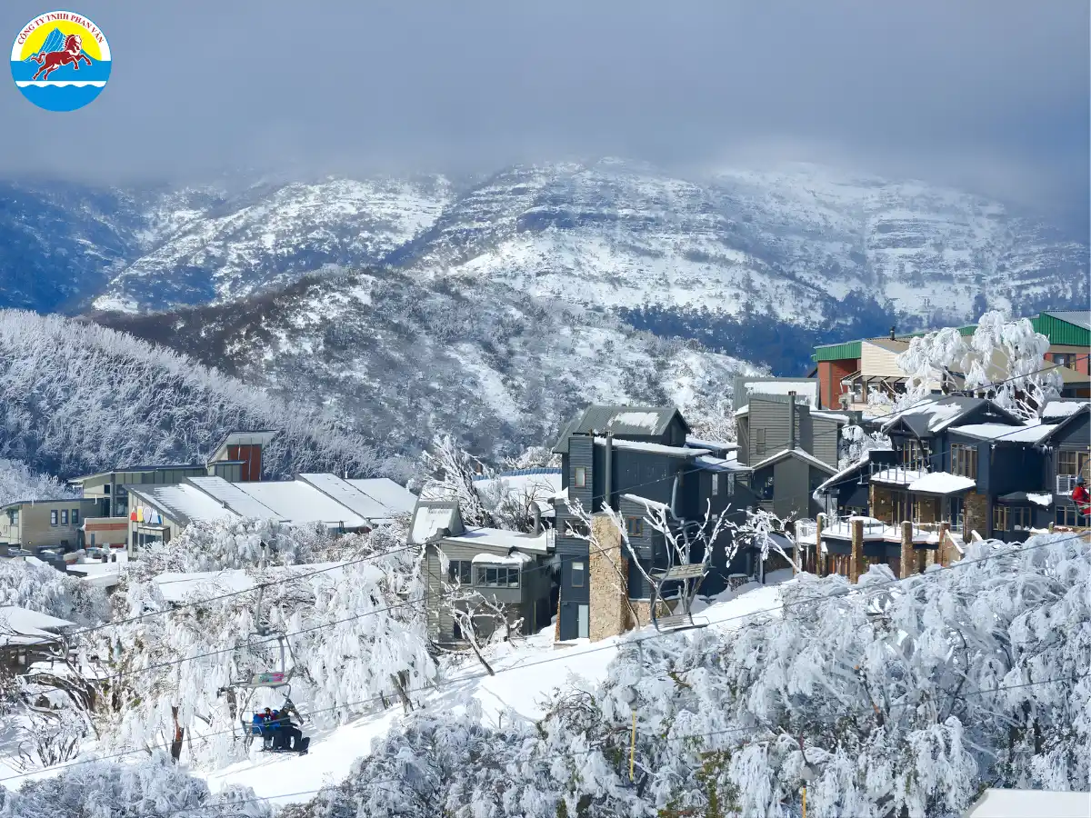 Phan Văn Travel cung cấp đa dạng các lựa chọn