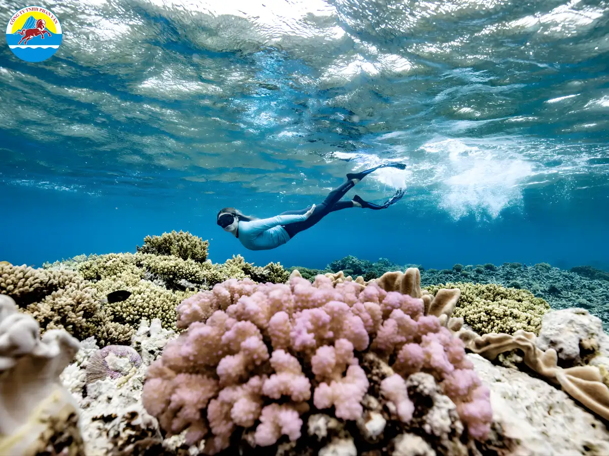 Rạn san hô Great Barrier Reef
