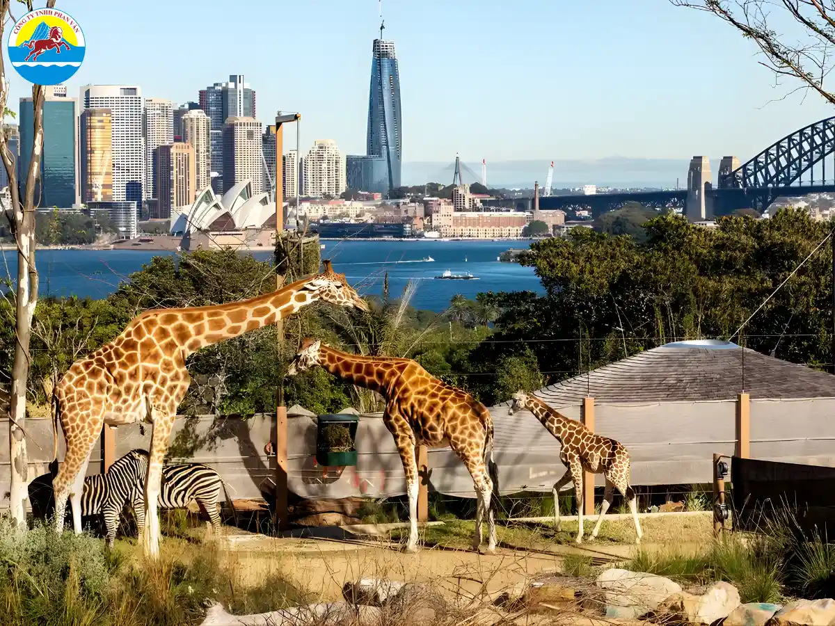 Taronga Zoo