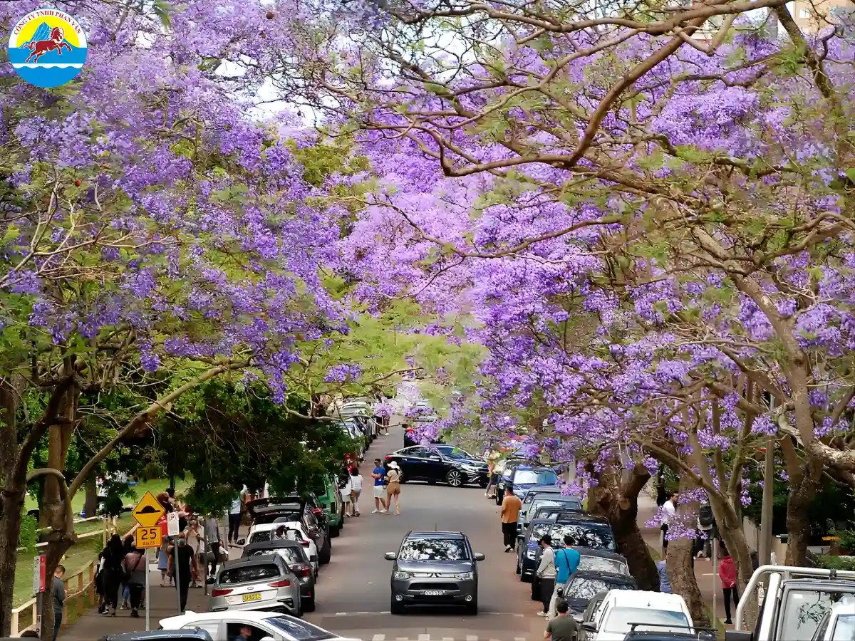 Giá tour du lịch Úc tháng 9 tại Phan Văn Travel dao động theo nhu cầu