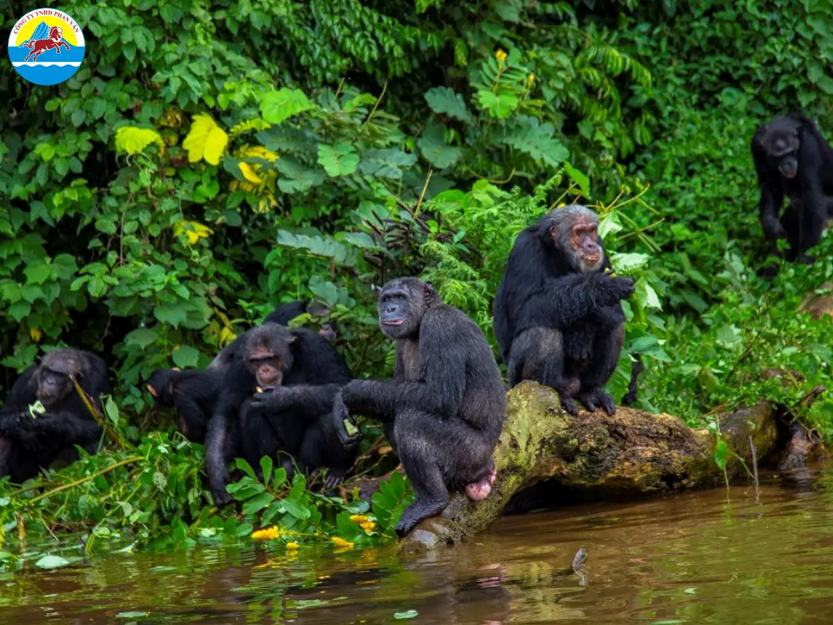 du lịch Uganda