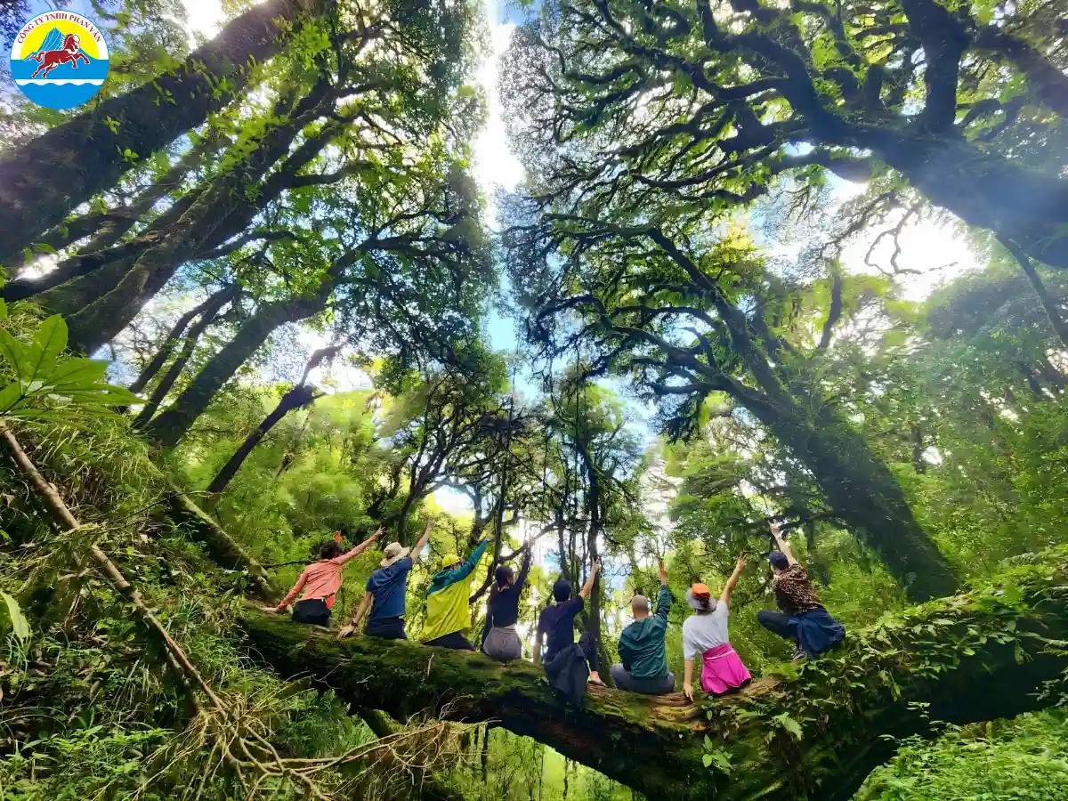 Đỉnh núi Tây Côn Lĩnh