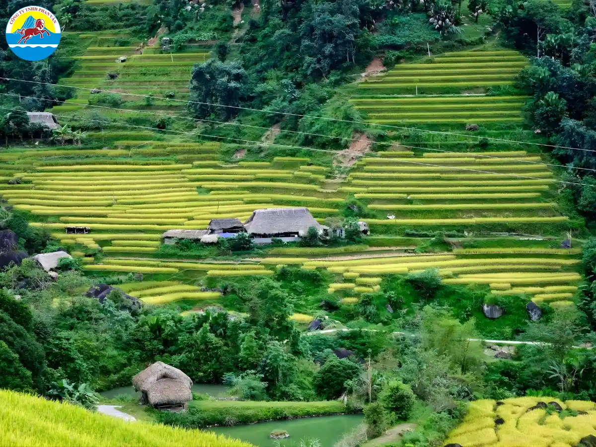 du lịch Vị Xuyên Hà Giang​
