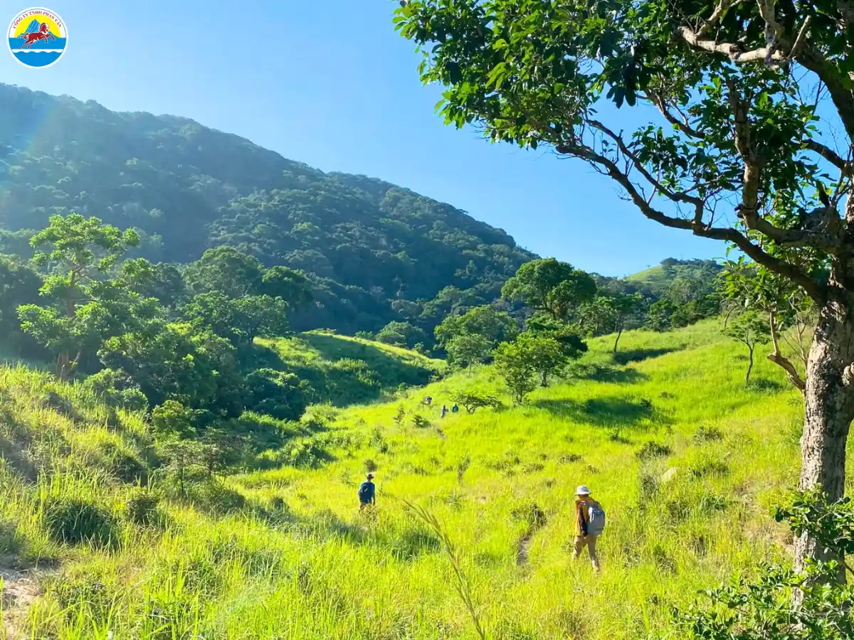 du lịch vịnh vĩnh hy ninh thuận