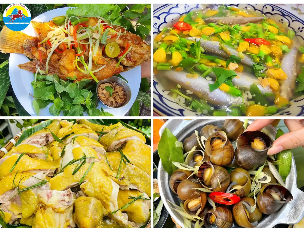 du lịch Vĩnh Long