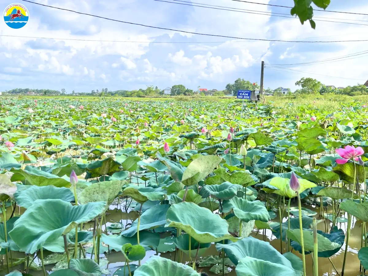 các điểm du lịch ở vinh nghệ an​