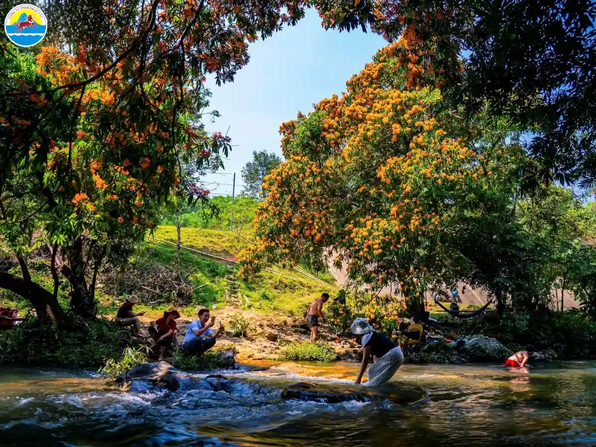 du lịch vĩnh thạnh bình định​